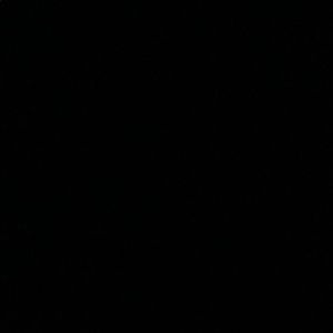 Meet your Posher, Emilea